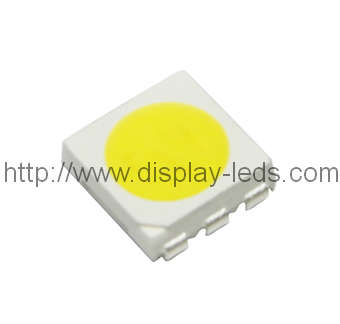 5050 PLCC6 TOP SMD LED en blanc